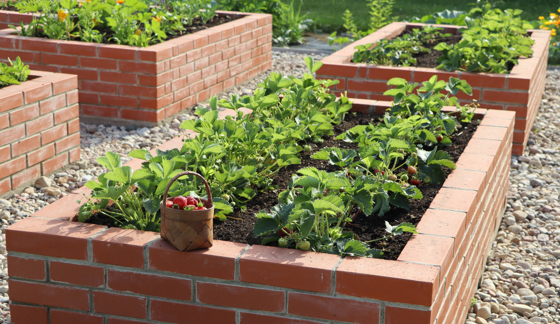 Brick Raised Garden Ideas You Need To See