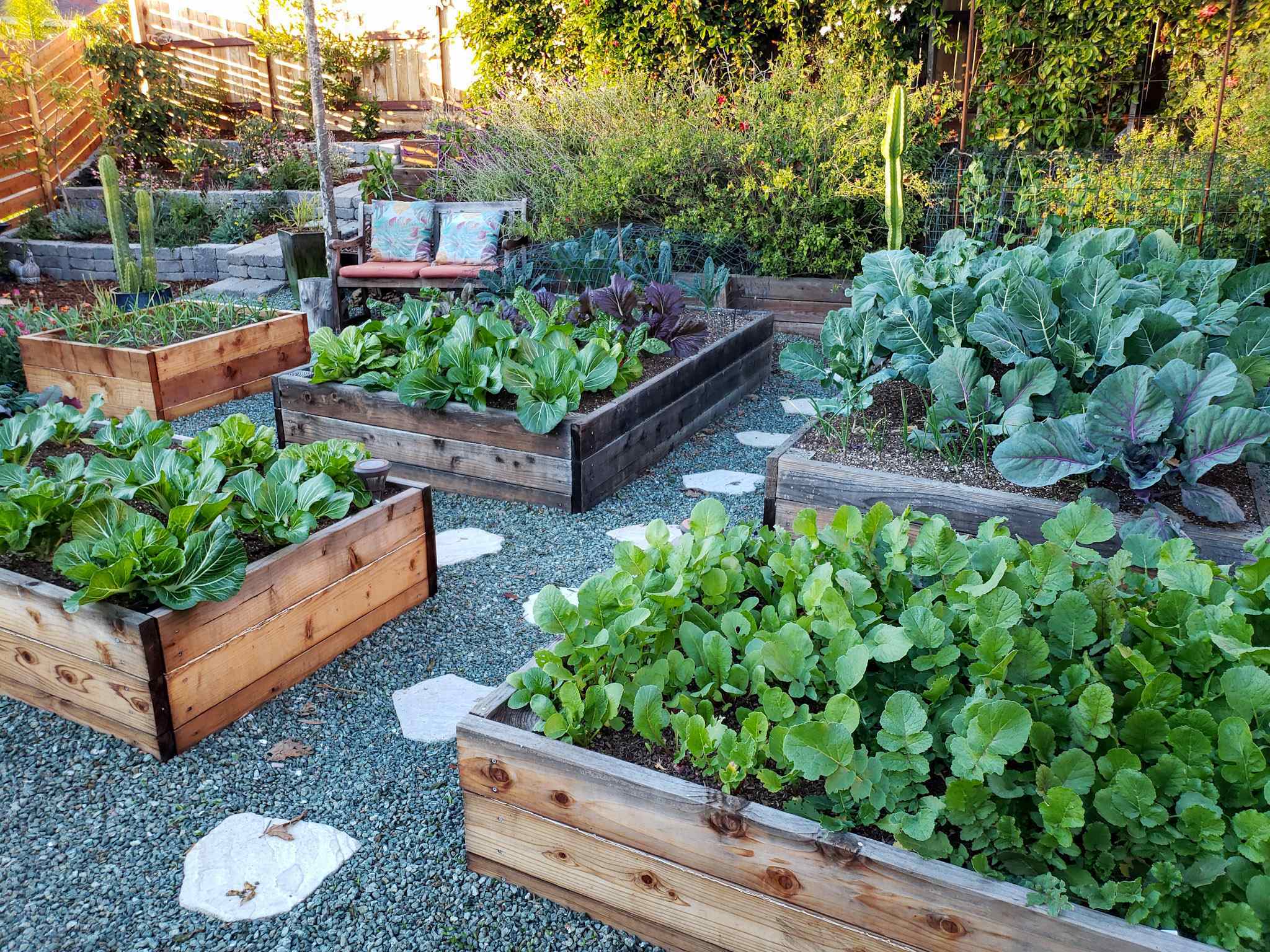 Finding the Perfect Spot for Your Raised Garden Bed