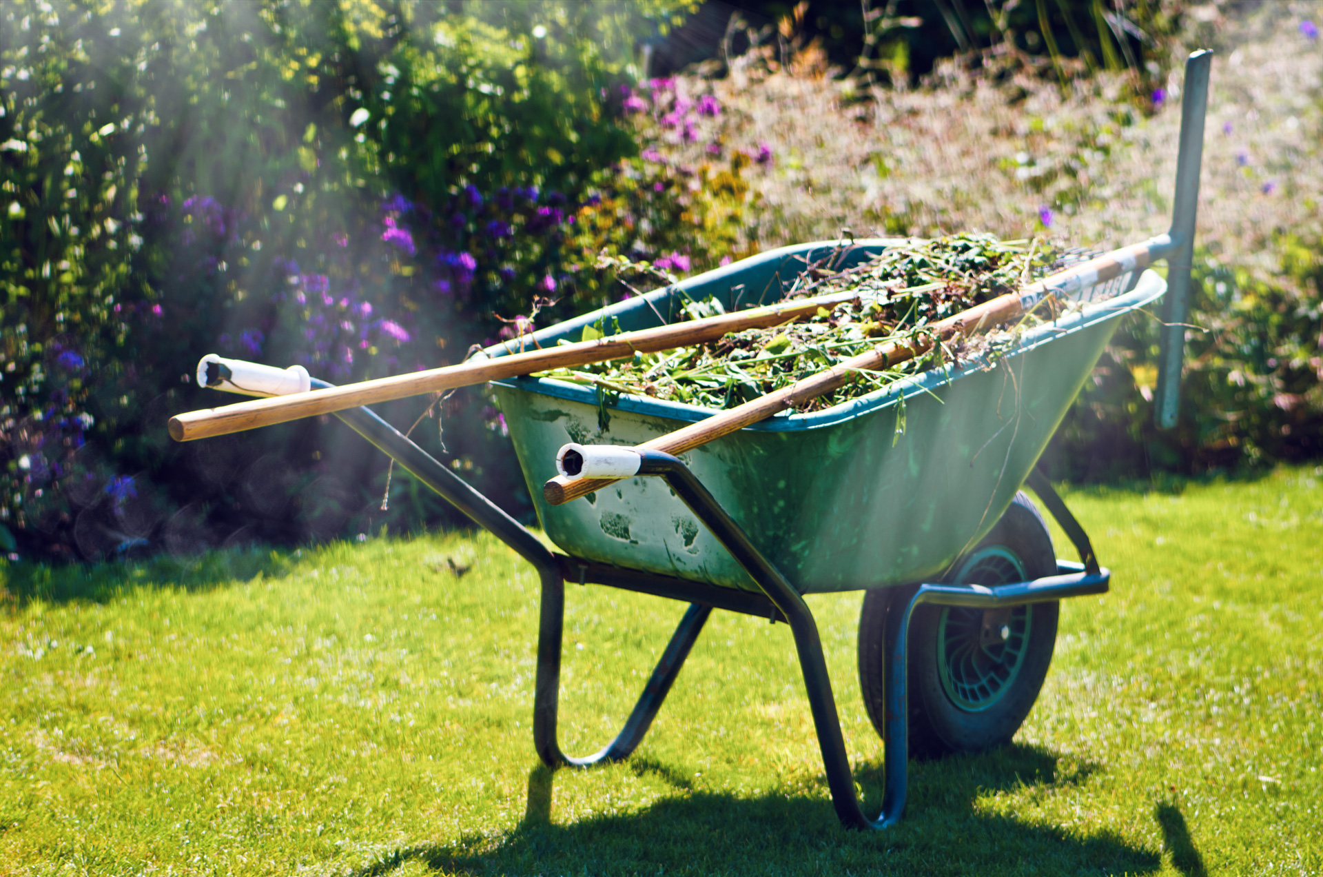 Spring Clean-Up Tips for a Beautiful Home - Green Horizons Landscaping and  Property Maintenance Services