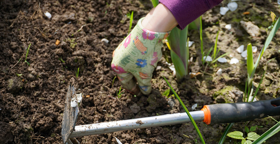 Transplanting Flowers in Fall – Tips and How-Tos | Life's Dirty. Clean Easy.