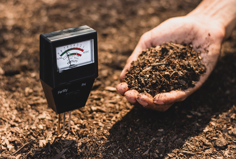 What Is Soil pH And Why It Matters - Bioweed