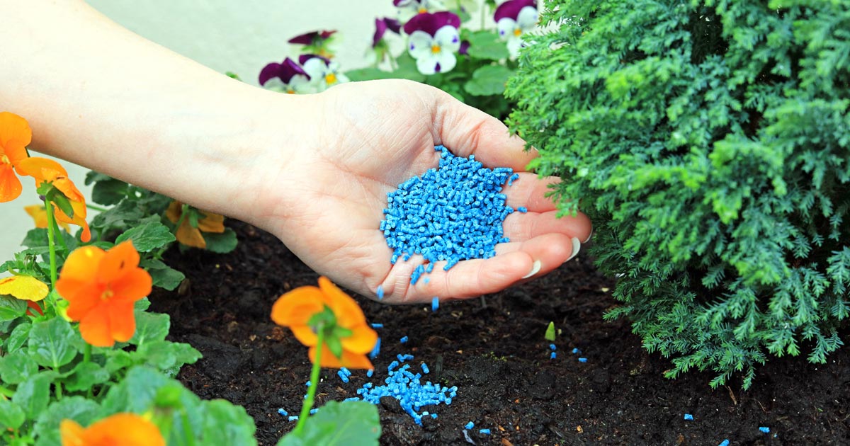 Nourishing Blooms: A Guide to Feeding Flowering Plants – Down to Earth  Living - Garden Center, Plant Nursery, Outdoor and Patio Furniture, and  Christmas Store