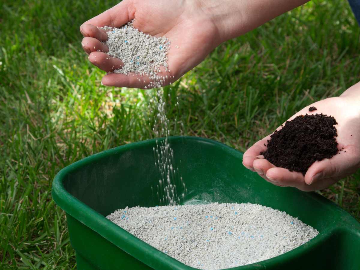 What is Starter Fertilizer?