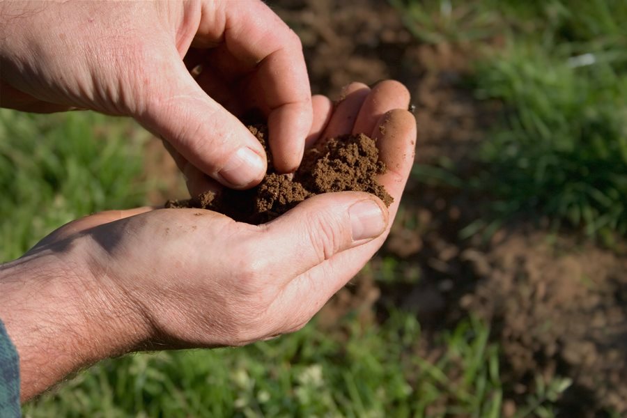 Garden Soil: How to Prepare Your Soil for a Garden | Garden Design