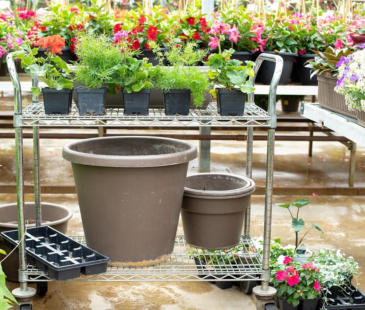 Preparing Your Container Gardens — Lynde Greenhouse & Nursery