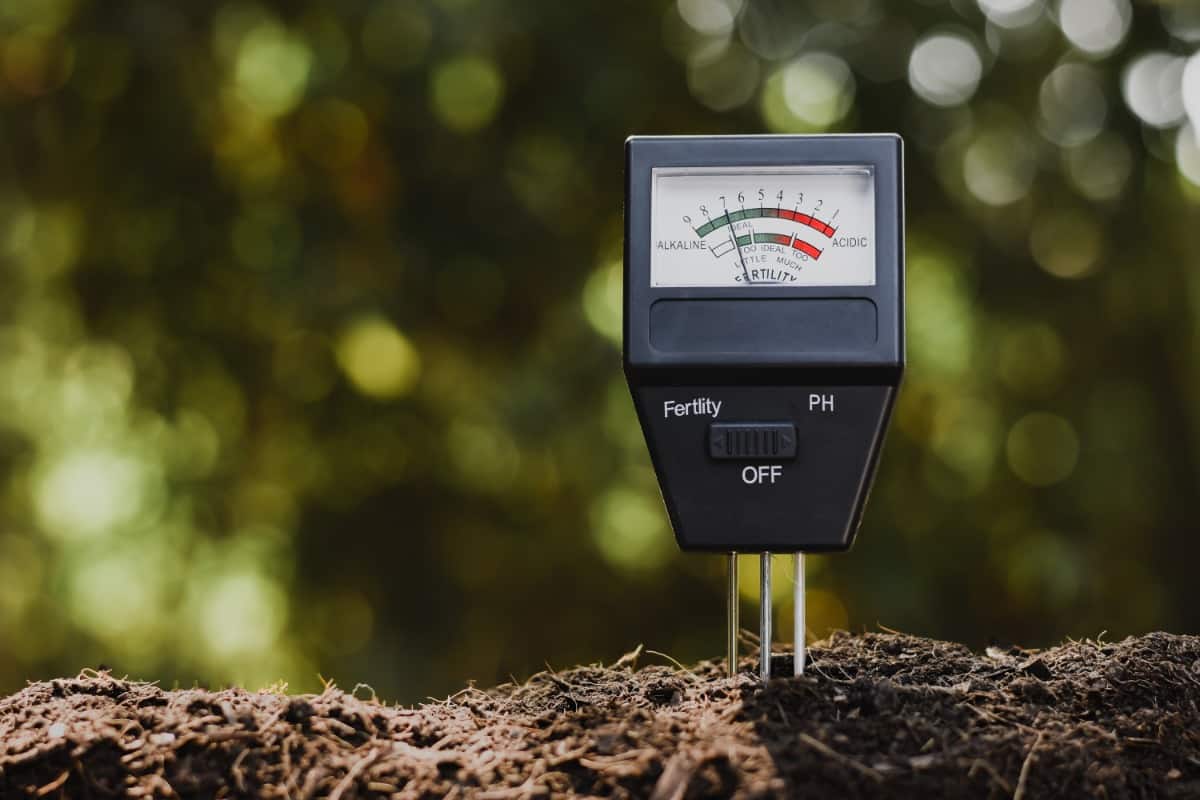 How to Test Your Soil PH and Why it is Important - Summit Turf Services