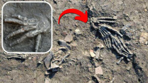 Mysteries of the Past: Giant Severed Hands Found in 3,600-Year-Old Egyptian Pits