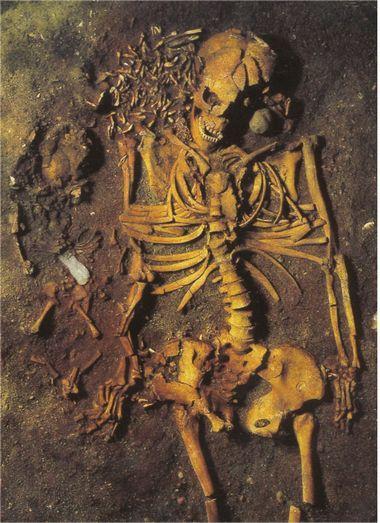 7,000–6,000-Year-Old Burial in Vedbæk, Denmark: A Poignant Tale of Motherhood and Loss