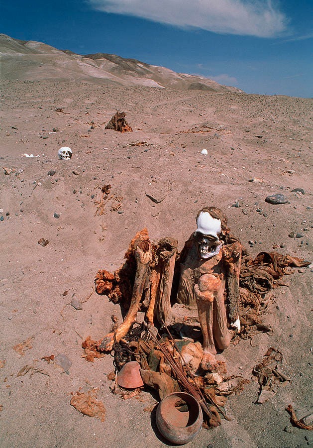 The Ancient Art of Mummification in Peru: A Journey into the Afterlife