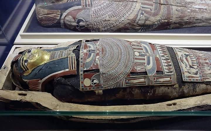 Lady Mummy and Case: A Glimpse into Ancient Egyptian Burial Practices