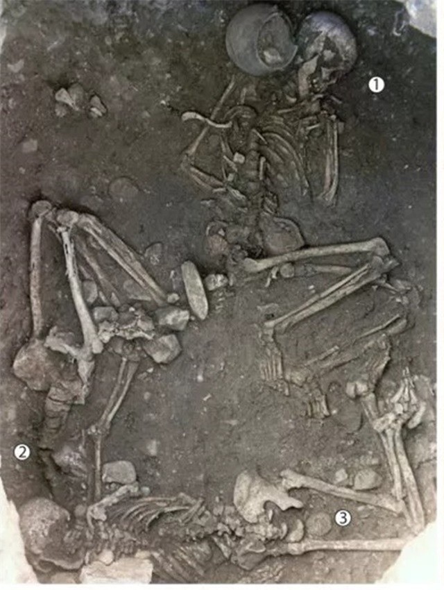 Archaeological Discovery: Unveiling a 5,600-Year-Old Ritual in France