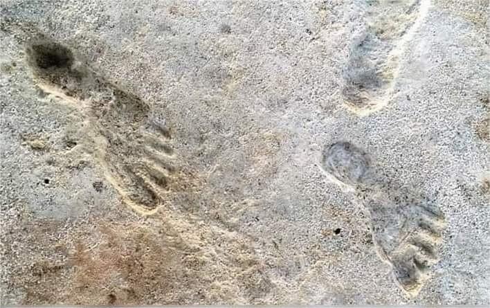 The Discovery of Ancient Footprints at White Sands National Park