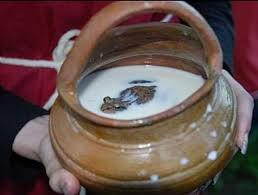 Ancient Food Preservation Methods: The Fascinating Use of Frogs to Preserve Milk