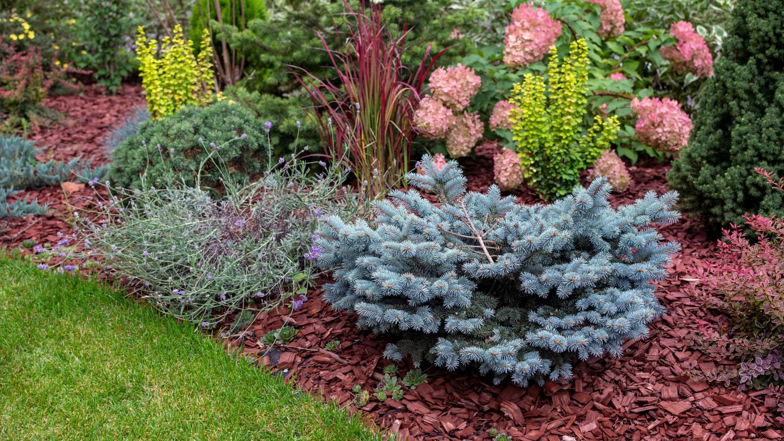 Why Are Your Plants Blooming at the Wrong Time? Causes, Explanations, and Solutions